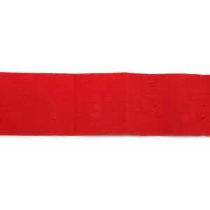 2" Waistband Elastic in Red by Riley Blake