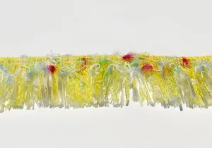 2" Yellow & White Fringed Trim (Made in France)