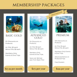 Gold Coast Scuba Memberships: Dive Into Endless Adventure